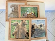 4 Cornici Portafoto quadrate Legno foto shabby chic rosa portrait