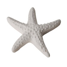 24 PZ Gesso Gessetto Stella