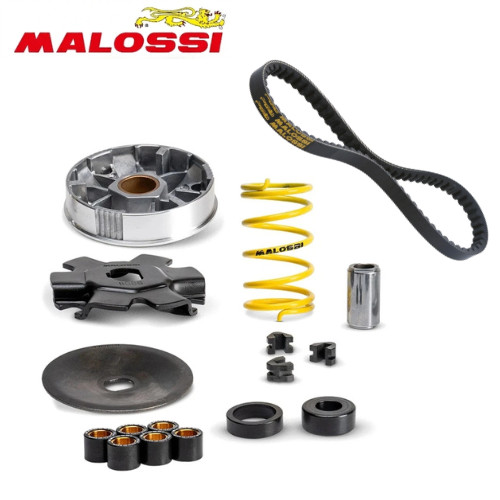 Variatore malossi multivar - multivar,
