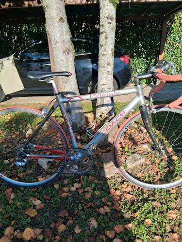 Bici corsa primula anni - bici,