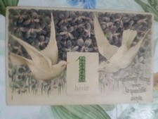 Colombe Bianche 1 Gennaio