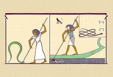 Stampa poster Apap John