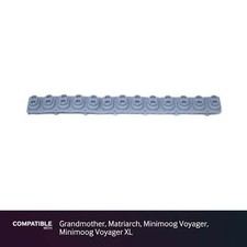 Moog Striscia Contatto Nonna, Matriarca, Minimoog Voyager, Minimoog Voyager XL