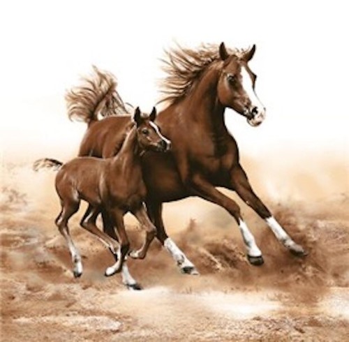 Mare con puledro - , di