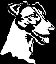 Adesivo FOXTERRIER - adesivo auto - sticker - capelli lisci testa Fox Terrier #94-W