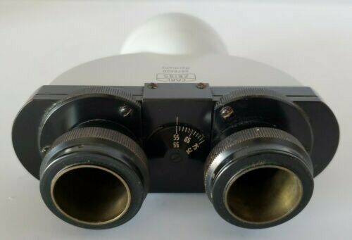 Zeiss standard testa - standard,