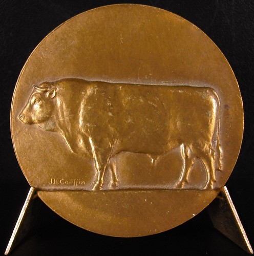 Medaglia toro razza - medaglia,