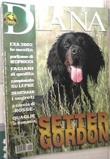 DIANA 14 2002 Pernice rossa Setter gordon Fagiano Quaglie Romania Drahthaar di