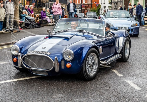 Wall art cobra replica - ac,