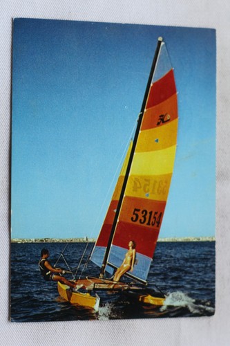 Cpm 1982 hobie cat bateaux - cpm,
