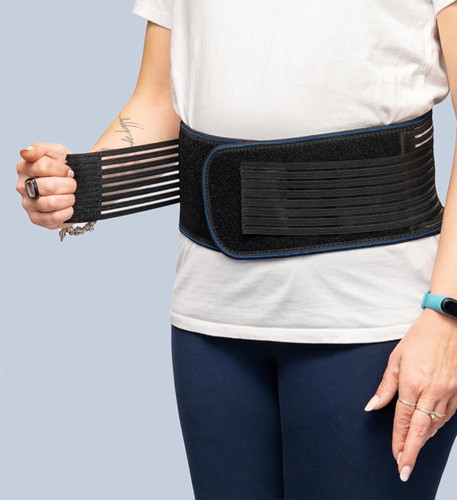Fascia elastica lombare - elastica,