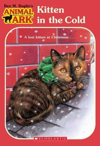 Kitten the cold - kitten,