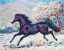 GIOVAN FRANCESCO GONZAGA: Serigrafia 70x50 Firmata, Numerata, Timbro. STUPENDA!!