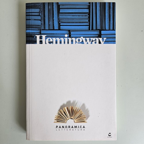 Hemingway panoramica - hemingway,