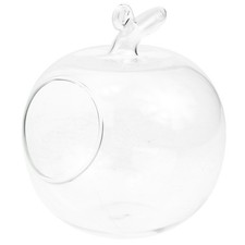  Vase Hydroponique Decoratif