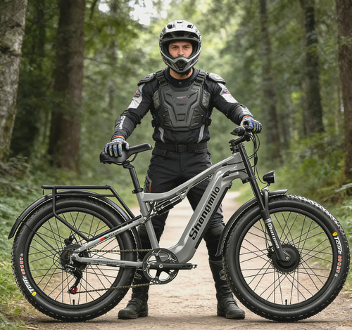 Bicicletta elettrica doppio - elettrica,