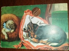Cartolina d'epoca animali cane