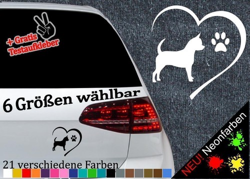 Adesivo chihuahua cuore - adesivo,