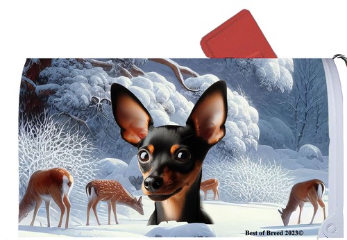 Miniatura pinscher winter - pinscher,