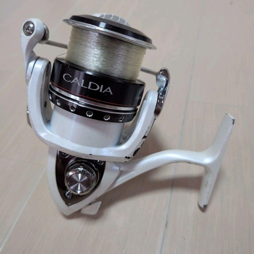 Mulinello spinning daiwa - da,