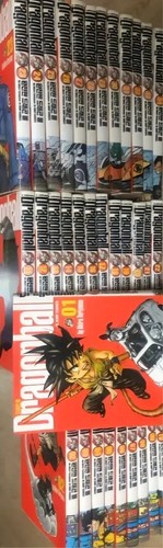 Libri avanzati dragon - libri,