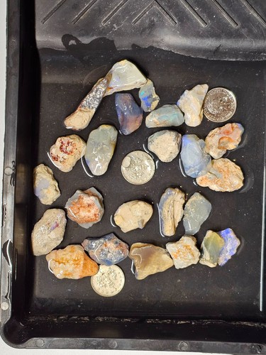 250 cts australia lightning - cts,
