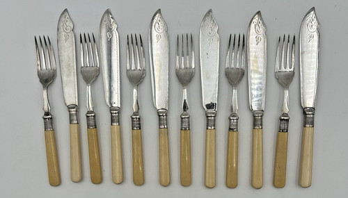 Set coltelli forchette pesce - coltelli,