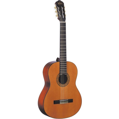 Oscar schmidt oc9 nylon - nylon, string