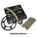 Kit Catena Gas GAS450 Ec F 24