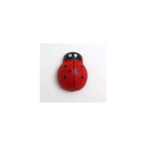 Coccinella legno piccola - 50,