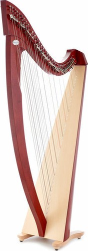 Salvi arpa celtica titan - arpa,