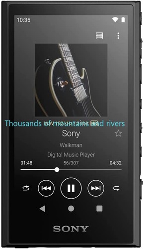 Sony a306 walkman gb - nw-a306,