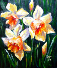 Narcisi fiori originale - narcisi,