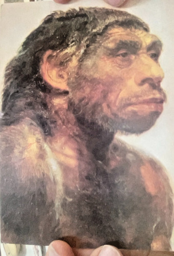Cartolina homo origini - homo:le,