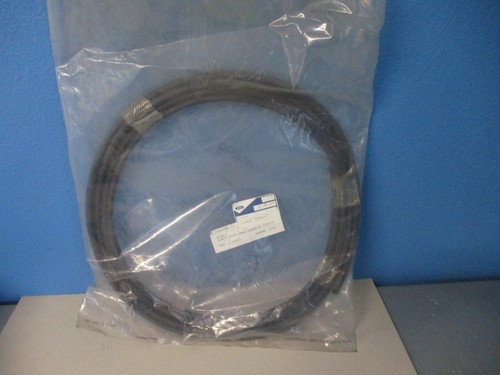 Guarnizione parabrezza ford - parabrezza,