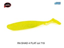 Molix shad flat 719 - 4,