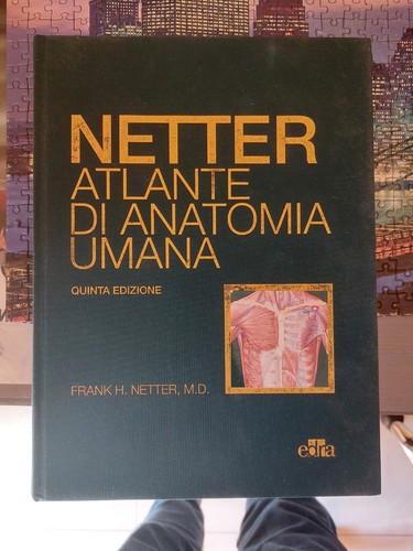 Atlante anatomia netter - atlante,