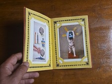 Undae Clemente Flamina Pulsae