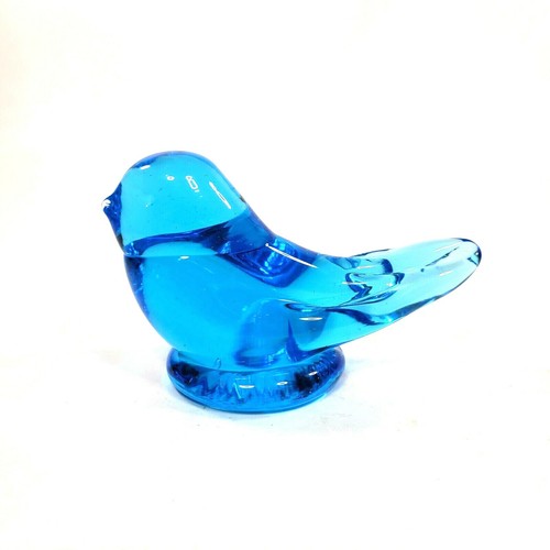 Bluebird happiness terra - happiness,
