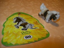 MINI CAVALLO nome SOLE