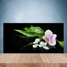 Splashback Paraschizzi