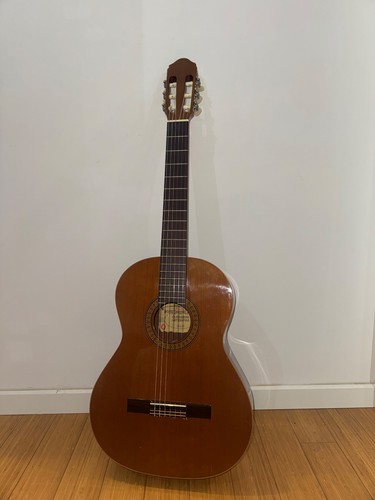 Chitarra classica raimundo - chitarra,