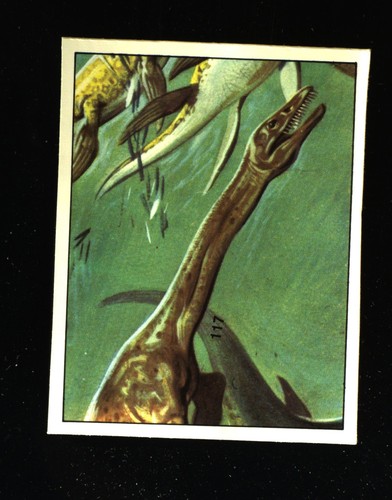 Animali preistorici - animali, (1974)