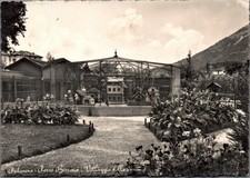 Belluno Pedavena  Parco