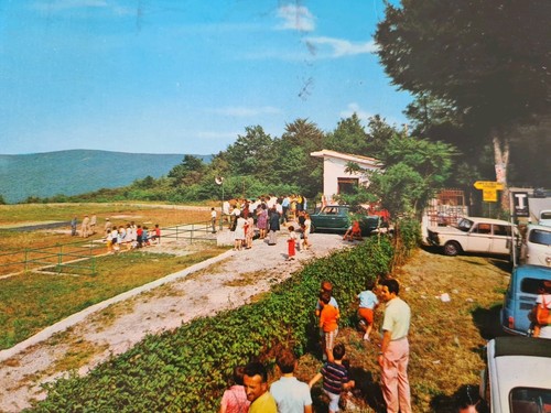 Rifreddo pignola - rifreddo,