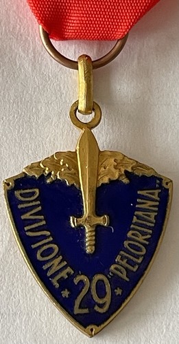 Medaglia divisione - 29^,