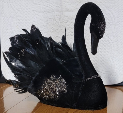 Bella lux cigno nero - bella,