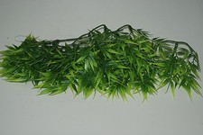 Terrario Realistica Plastica