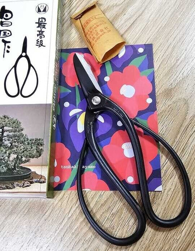 Masakuni strumento per - masakuni,