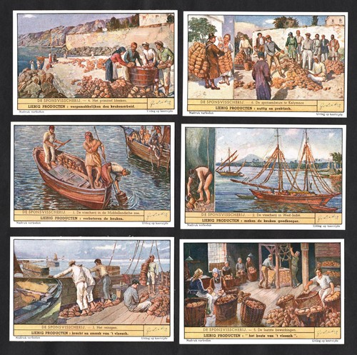 Sponge fishing liebig - sponge,